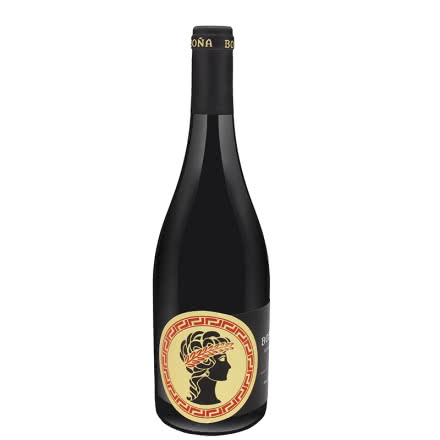 智利红酒(原装原瓶）柏雅西拉珍藏黑标干红葡萄酒750ml