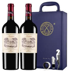 拉斐红酒艺术家城堡AOC/AOP级干红葡萄酒法国进口红酒 750ml*2瓶 双支礼盒装